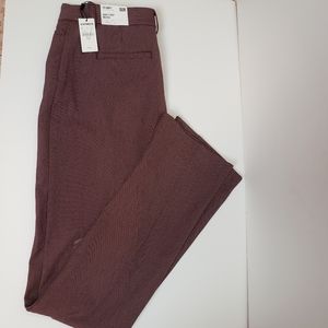 Express pants